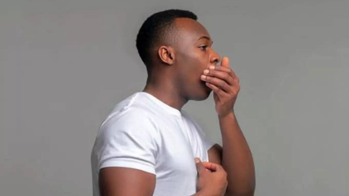 خواص درمانی نبات خواص درمانی نبات